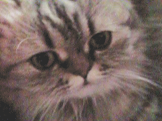 Zoe, up close and personal